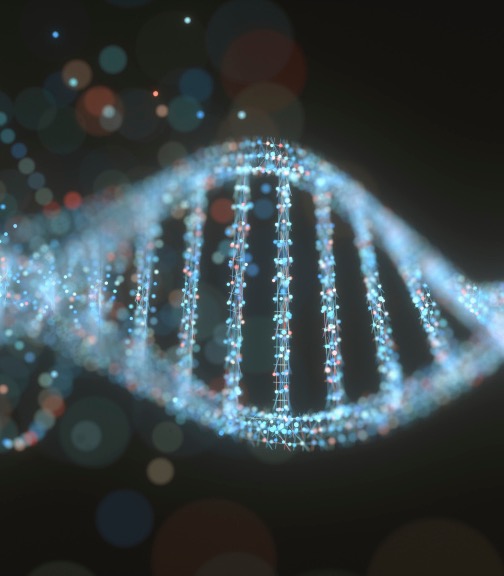 Tento rok uplynulo 70 let od objevení struktury DNA