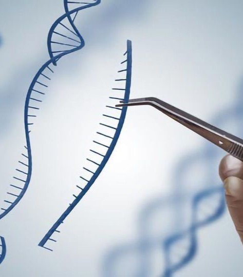 Potvrzení stability upravené DNA otevírá další možnosti v oblasti medicíny