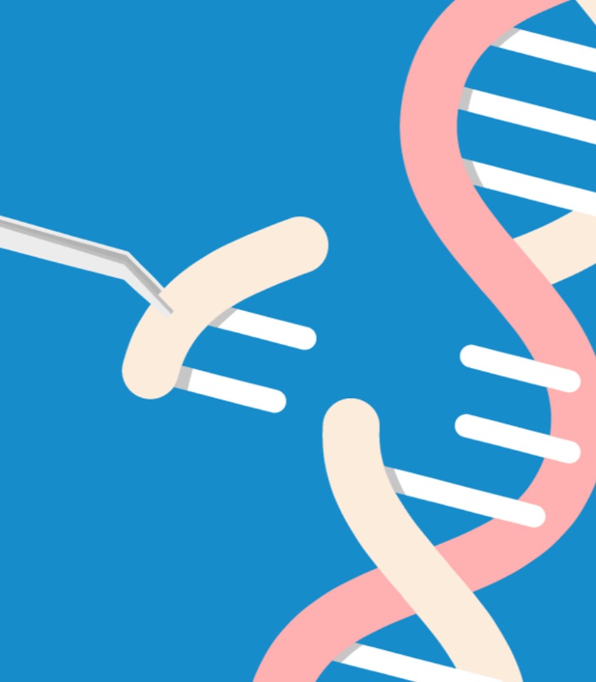 CRISPR editor can also be used for RNA editing